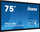 Ekran interaktiv Iiyama PROLITE TE7514MIS-B2AG, 75", 4K Ultra HD, Android, i zi