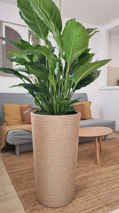 Vazo dekorative Adoni Boho Jute, 44cm, lartësia 75cm, beige