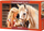 Puzzle Castorland My Friend Horse, 1000 pjesë, për të rritur dhe fëmijë