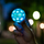 Топка играчка Вабоба Муншајн Light up Ball, со LED светла, висок одскок, многубојна