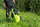 Kositës benzine Zipper ZI-BM870ECO, shufër prerëse, jeshil