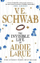 Invisible Life Of Addie Larue - V.E. Schwab