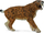 Figurë Collecta - Dinosaur Smilodon