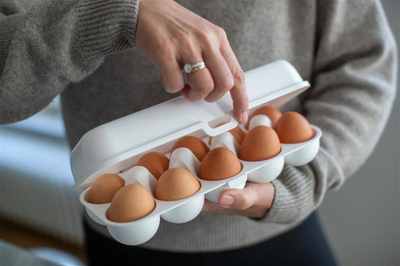 Kuti për vezë Koziol Eggs To Go, 10 vezë, e bardhë