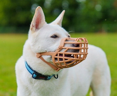Maskë për qen Baskerville Classic Basket Muzzle 2, madhësia 2, shumë e rehatshme, me ngjyrë neutrale