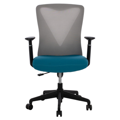 Karrige zyre Superior 65×62×100 cm (HM1170.08), kaltër/ gri