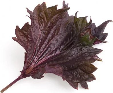 Билна капсула Veritable Lingot Shiso Purple, органска, за внатрешна градина