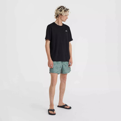 Pantallona noti O'Neill Mix&amp;Match Cali Print 15", për çuna, jeshile me printe