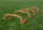 Pengesë stërvitje Legend Mini Hurdle 00464, 15 cm, PVC, portokalli