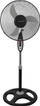 Flladitëse Esperanza (EHF002KE), 45 cm