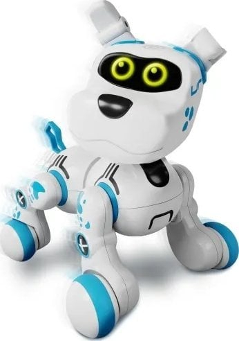 Lodër interaktive Xtrem Bots Bobby, lojë familjare joge, për fëmijë mbi 5 vjet, shumëngjyrëshe