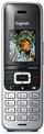 Telefon fiks Gigaset Phone S30852 H2605 C111 me tela, ngjyrë platin me të zezë