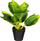 Bimë artificiale Atmosphera Calathea, 30cm, në vazo, jeshile
