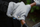 Doreza karroce Sensillo GLOVE Minky, të papërshkueshme nga uji, material minky, gri