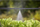 Grykë mjegullimi Gardena 13323-20, set 5 copë, për tub 13 mm, plastike