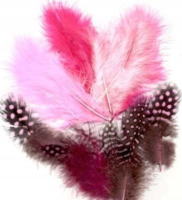 Set pendësh zbukurimi Feathers Marabou &amp; Guinea Fowl, 18 copë, nuanca rozë