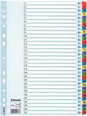 Dosje për dokumente Esselte A4 Mylar (10K055E)