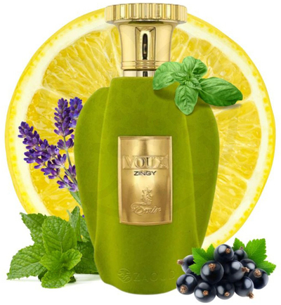 Parfum Emir Voux Zingy EDP për meshkuj, 100ml, jeshil