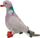 Lodra pelushi Beppe Eco Mascot Plush Pigeon, 22cm, pëllumb, gri