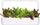Билни капсули Click & Grow со блитва Rainbow Chard, сет 3 парчиња, за внатрешна градина, многуобојни