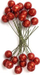 Dekorim festiv Dalprint Holly Fruits, 1.2 cm, 24 copë, me shkëlqim të kuq