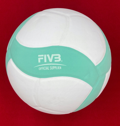 Top volejbolli Mikasa VS210W, nr 4, 210 g, shumëngjyrësh