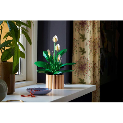 Set ndërtimi LEGO Botanicals Peace Lily 11504, 474 pjesë, dekor për të rritur, shumëngjyrësh