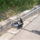 Furre teli për kositëse Geko G00649, 200mm, vrimë 25.4mm, metalike