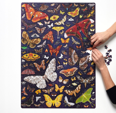 Puzzle Czuczu Puzzlove Moths, 1000 copa, 48 x 68 cm, shumengjyrësh