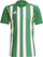 Fanellë për meshkuj Adidas STRIPED 21, S, e gjelbër