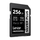 Lexar Professional SILVER PLUS SDXC 256GB kartë memorjeje