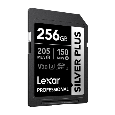 Lexar Professional SILVER PLUS SDXC 256GB kartë memorjeje