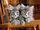Set puzzle Clementoni, 500 elemente