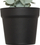 Bimë artificiale Atmosphera Eucalyptus MERLY, 51 cm, jeshile