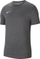 Maicë për meshkuj Nike CW6952-071, e hirtë