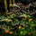 Llambë diellore dekorative Saska Garden, 72cm, 60 LED, e zezë
