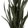 Bimë sintetike SANSEVIERIA (HM7994.02), gjelbër