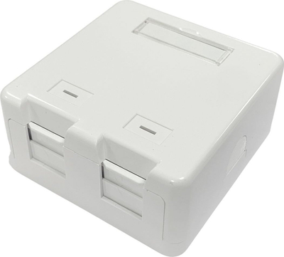 Kuti sipërfaqe Lanview LVN127767, 2 porta RJ-45, plastike, e bardhë