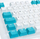 Set tastesh Ducky PBT ISO DE, 109 taste, mekanike, i bardhë e blu
