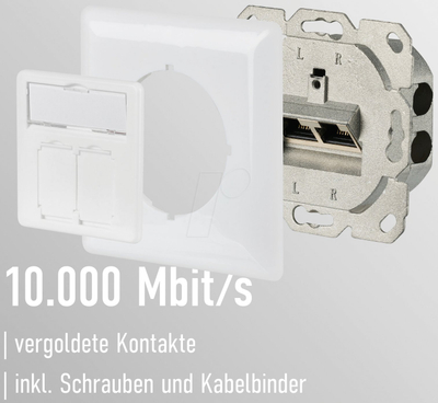 Prizë rrjeti EFB Elektronik CAT6a, 2 porta RJ45, e bardhë