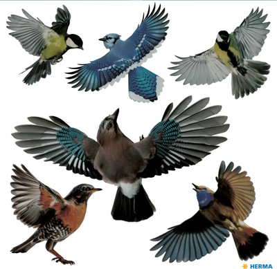 Etiketa paralajmëruese HERMA Warning Birds, 300 x 300 mm, shumëngjyrëshe