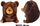 Kukull pelushi Sun Day Teddy Bear Sphere, 40 cm, bezhë