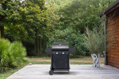 Grill me gaz Campingaz Xpert 200 LXD, 2 djegësa, sipërfaqe pjekje 1800 cm², gri