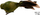Stoli dekorative zog me kapëse, 26cm, e gjelbër