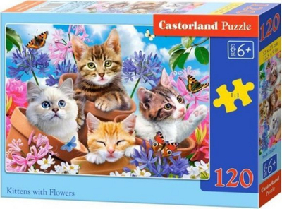 Puzzle Castorland Kittens with Flowers, 120 pjesë, shumëngjyrësh