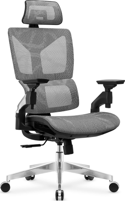 Karrige zyre Mark Adler Expert 8.5, ergonomike, gri