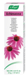 Pastë e dhëmbëve A.Vogel Echinacea 100% natural, 100 g