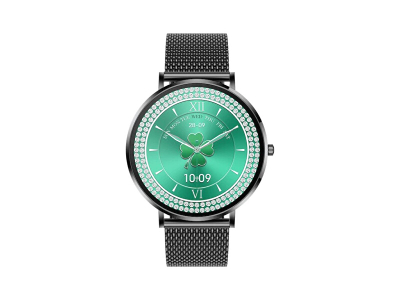 Orë inteligjente CARNEO Phoenix HR+