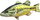 Jastëk peshku Big Bass 67cm