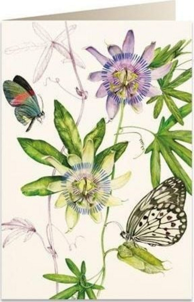 Kartolinë Tassotti Passiflora B6 me zarf, 200 g/m², shumëngjyrëshe